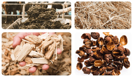 biomass power plant, CHP, CCHP, combined heat and power plant, waste to energy, biomass power plant